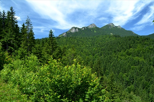Veľký Choč