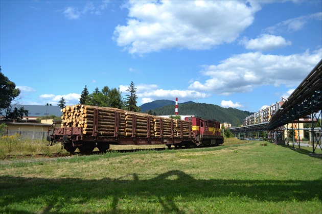 Vlak s drevom smeruje do papierní