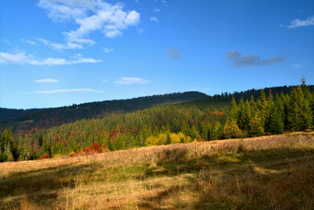 Jesenný Turbacz