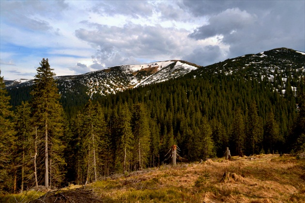 Nízke Tatry