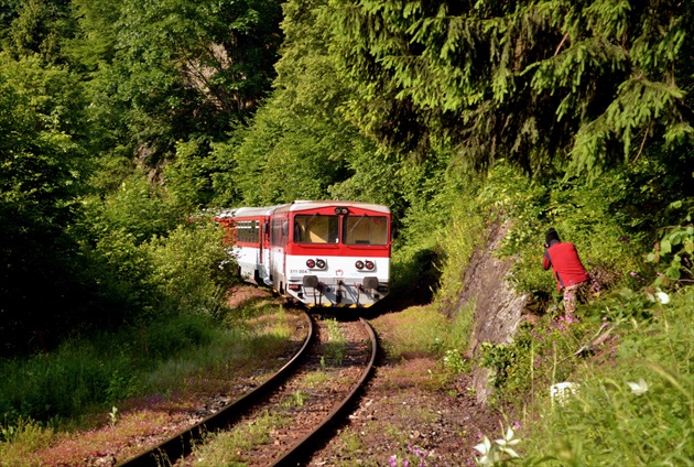 Vlak v Kraľovianskej doline