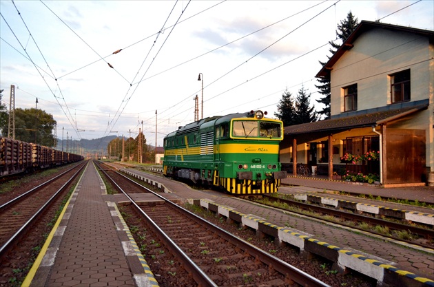 Okuliarnik pri posune v Liptovskej Teplej