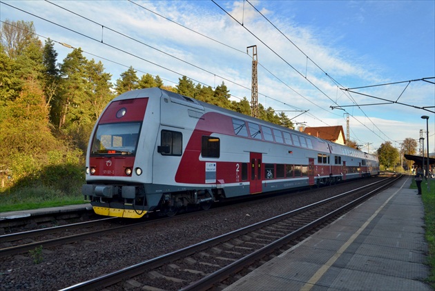 City elefant v Rybárpoli