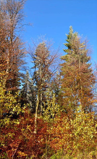 Beskydský október