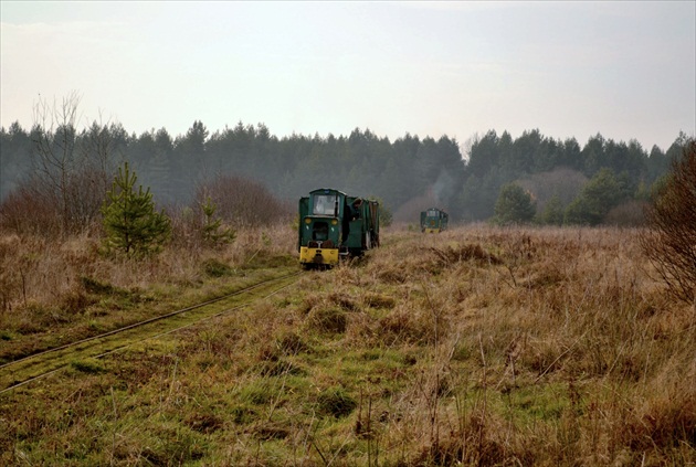 Zvážanie rašeliny na Podhalí