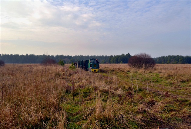 Vláčik s rašelinou smeruje do spracovateľského závodu