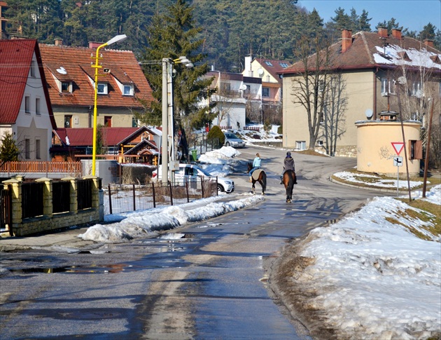 Pásli kone na betóne