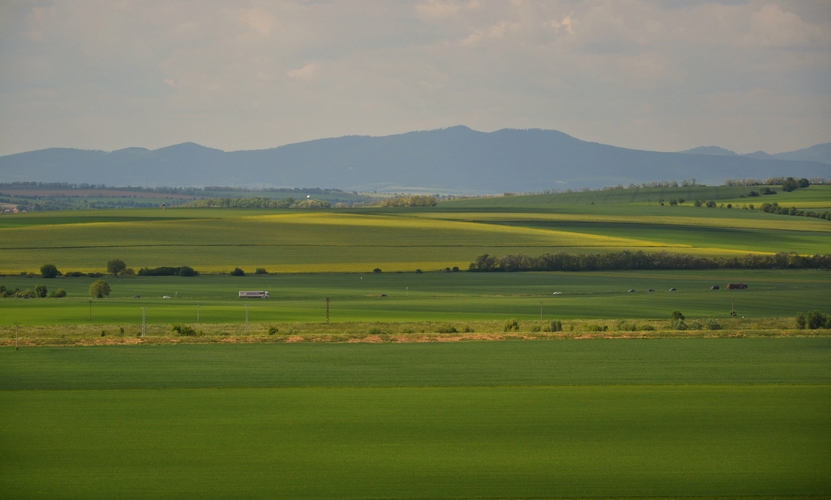 Nitrianske polia