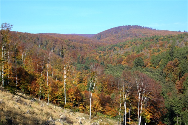 Limbašská jeseň