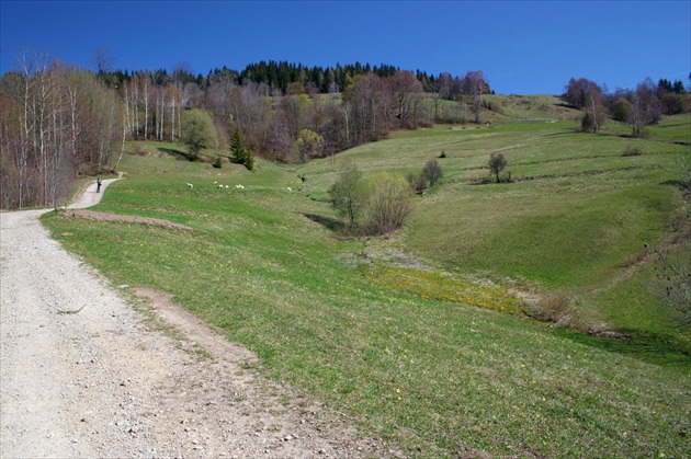 Orava (Zázrivá) 2007