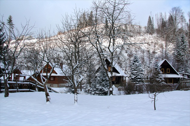 Oščadnica