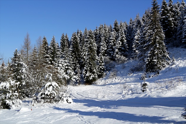 Brezovica - Orava II.