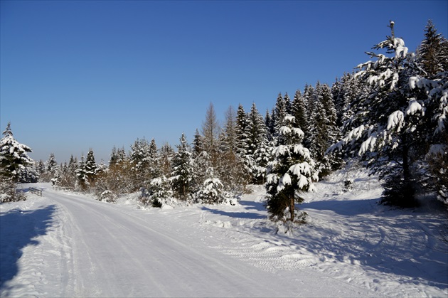 Brezovica - Orava VIII.