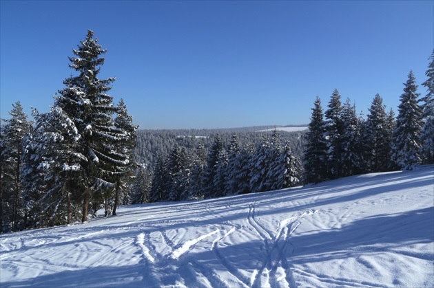 Brezovica - Orava X.