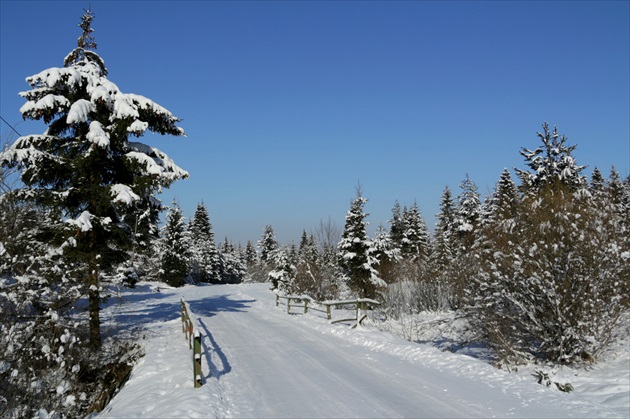 Brezovica - Orava XI.