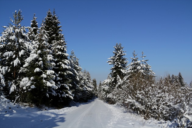 Brezovica - Orava XIV