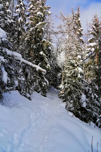 Tatranské zimné chodníčky