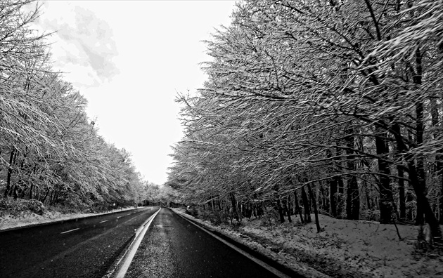 Cesty v zime