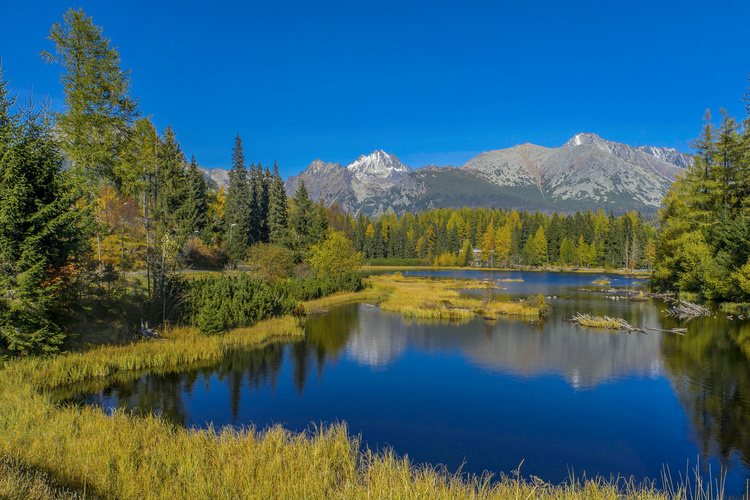 Nové pleso