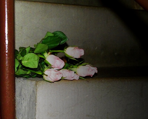 kvety na schodoch
