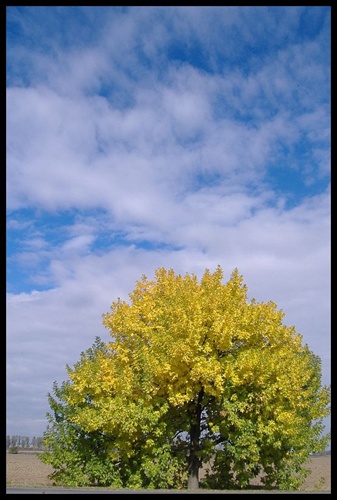 jeseň
