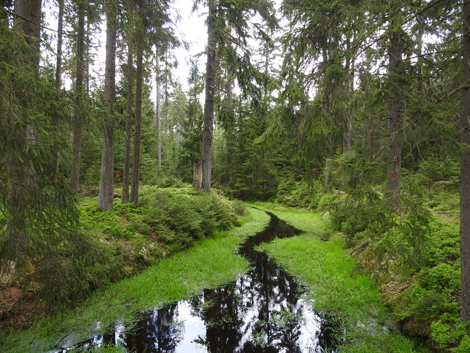 Kladská