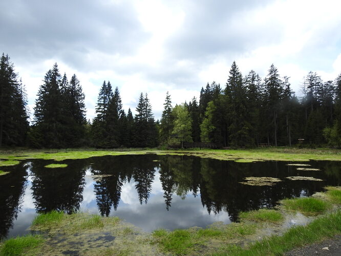 Kladská