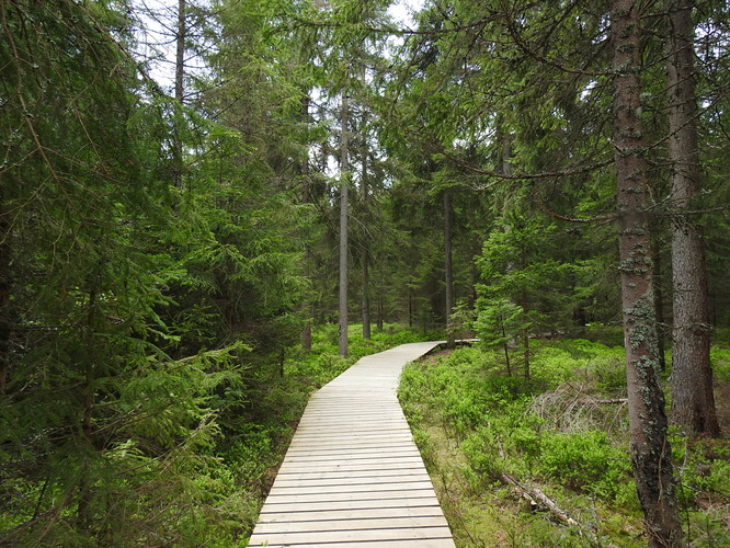 Kladská