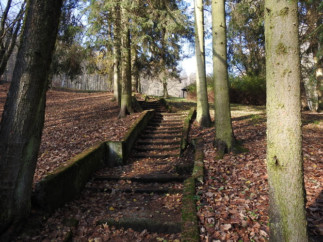 schody do lesa