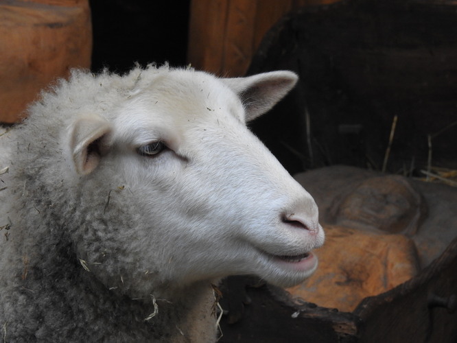 teplovzdušný ohrievač