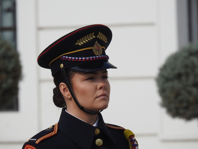 čestná strážnička