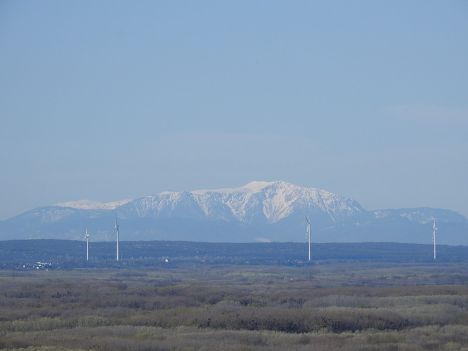 Schneeberg na obzore