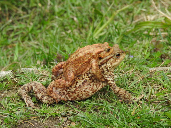 aby do krčmy neušiel