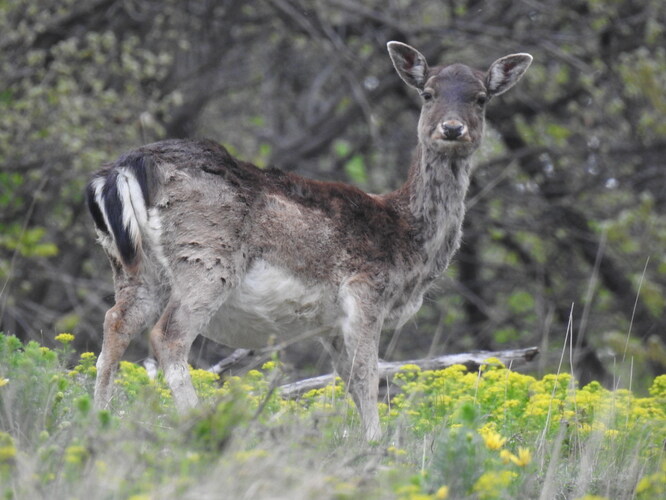 prezliekanie do letného