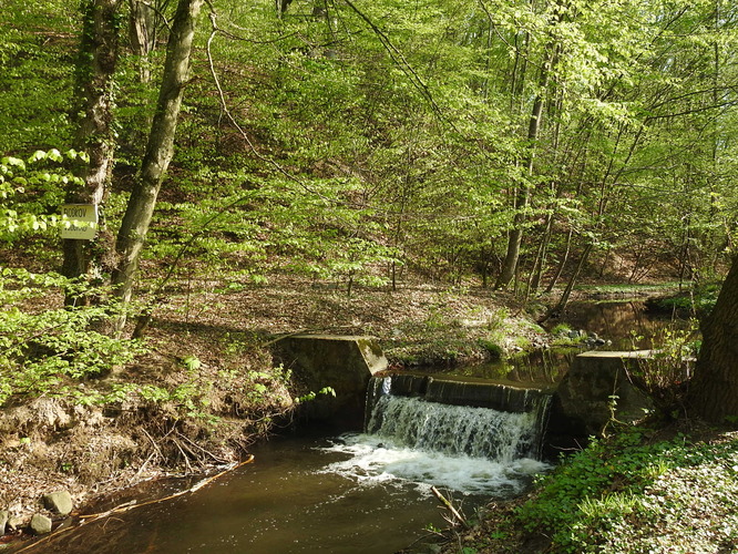 jediný široko-ďaleko