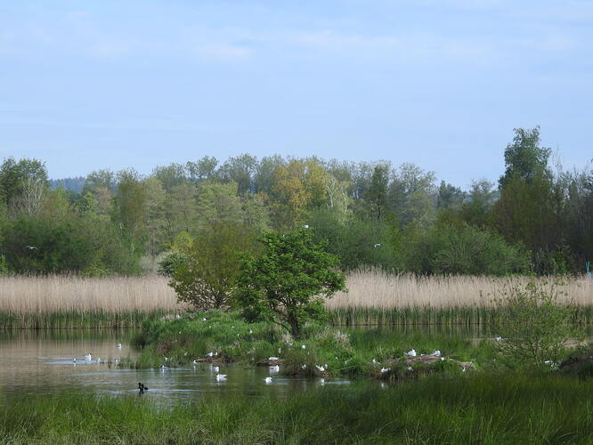 Franzensbad