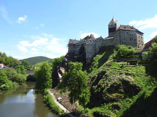 Elbogen