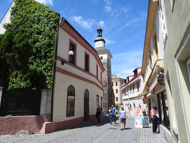 Elbogen