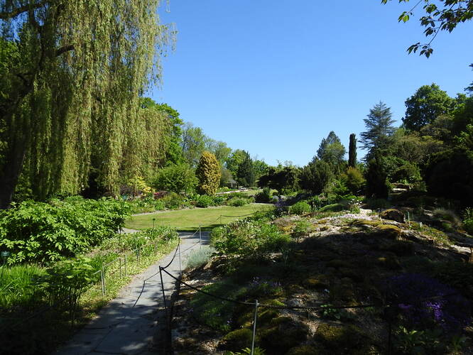 hofská botanická