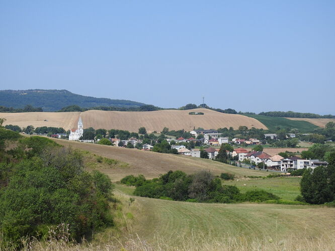Šurice