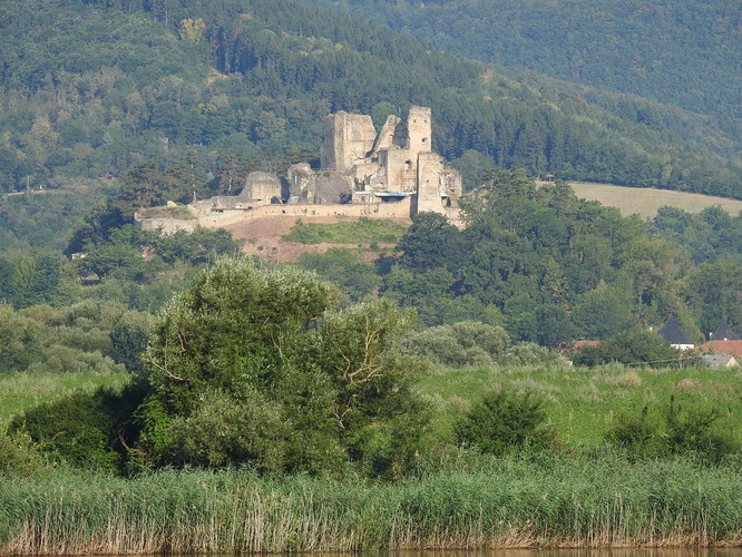 Divín