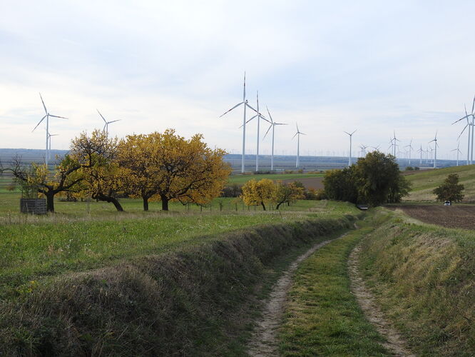 vidiek