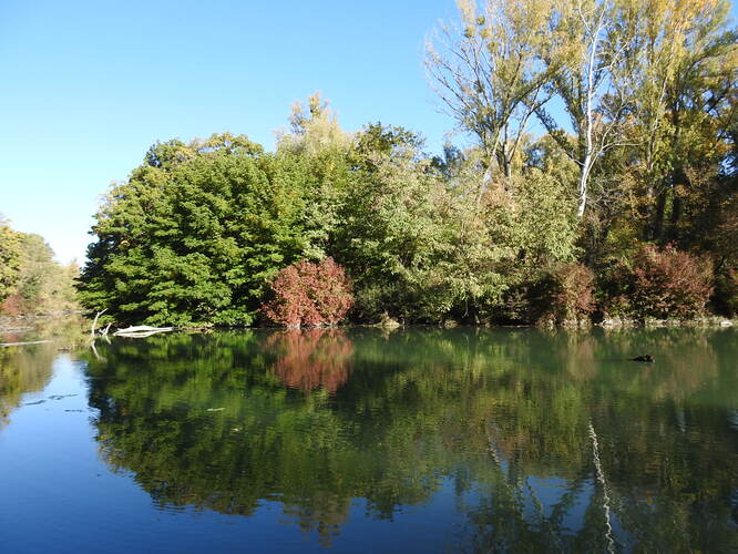 kúsok divočiny