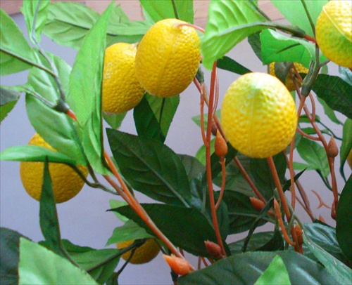 Umelé citróniky