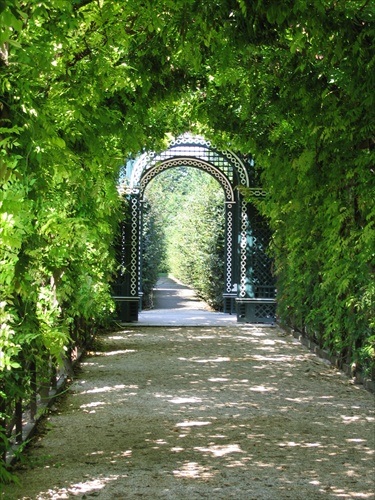 Schonbrunn - brana do raja