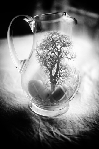 Ochrana životného prostredia