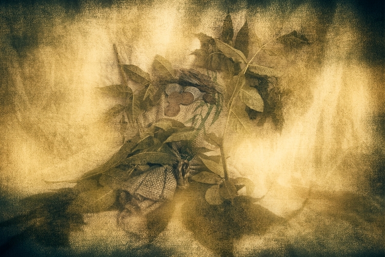 Prírodu nepodplatíš