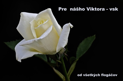 Ruža pre Viktora