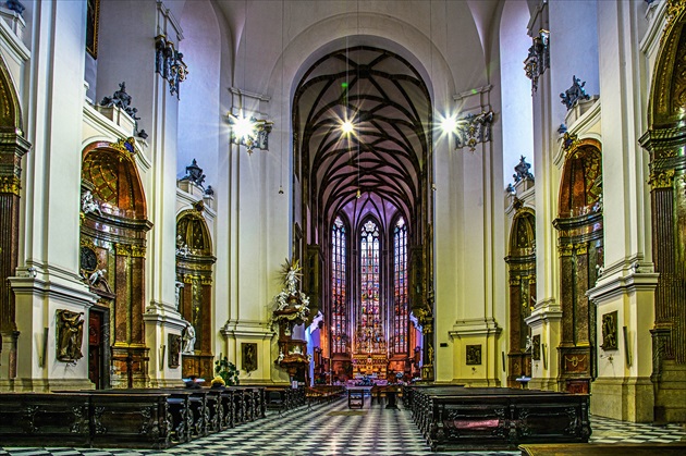 Interiér katedrály sv. Petra a Pavla v Brne na Petrove