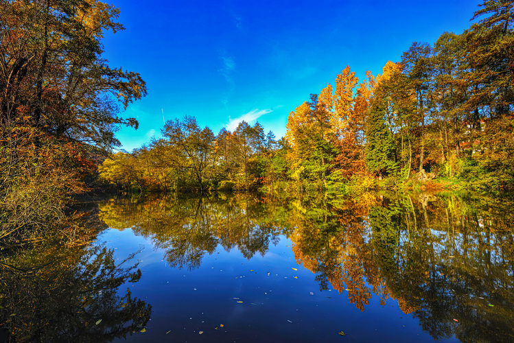 Z prechádzky pri Svratke